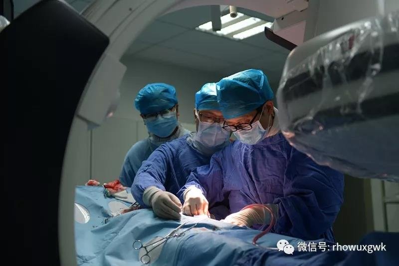 武汉大学人民医院血管疾病菁英研讨会成功举行